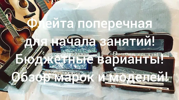 Флейты. Какую купить флейту для начала? Обзор бюджетных моделей от Мьюзик-Стор| musik-store.ru