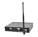 Радиосистема Axelvox DWS7000HT (ST Bundle)